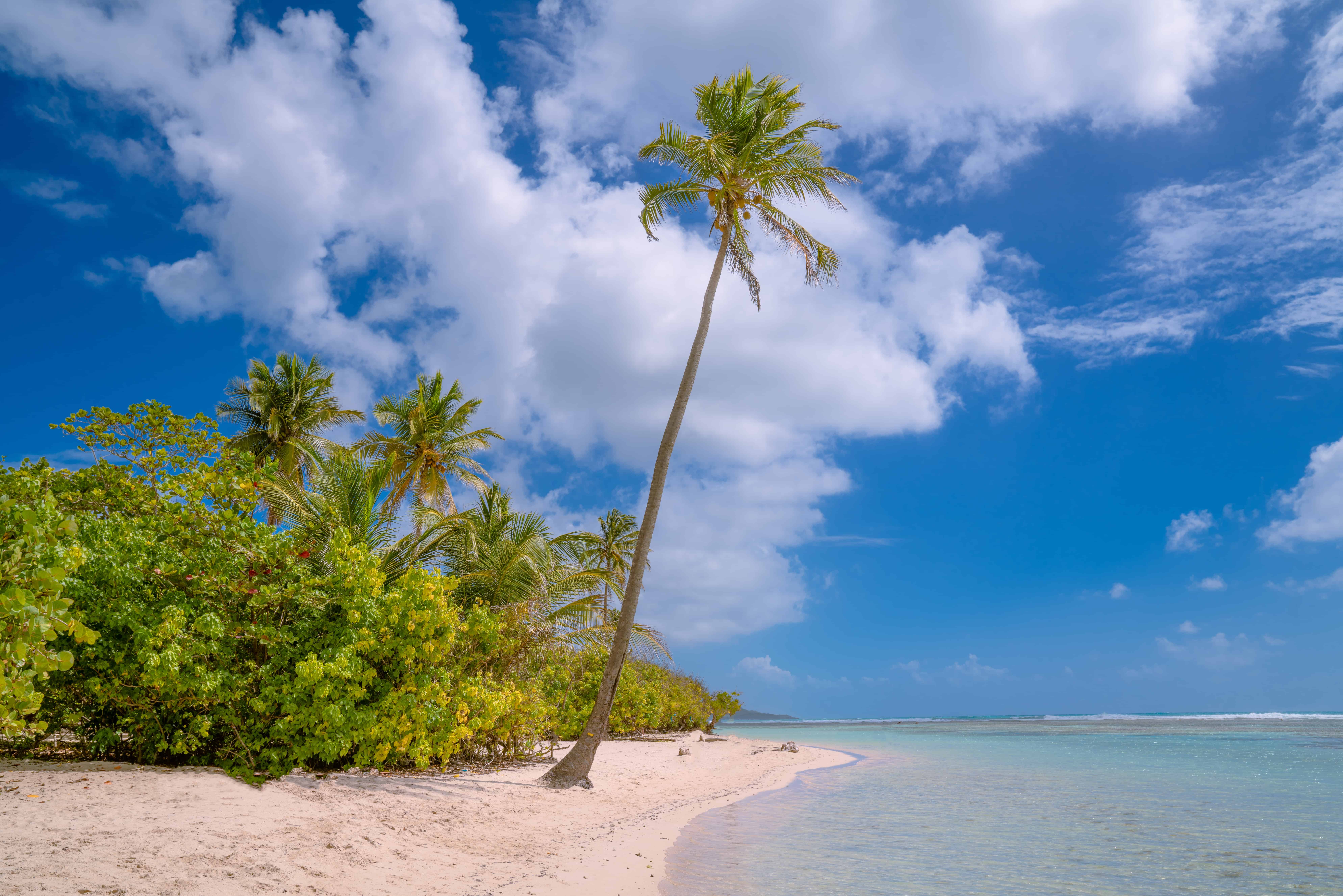 Ostrov Guadeloupe v Karibiku za 5 445 Kč