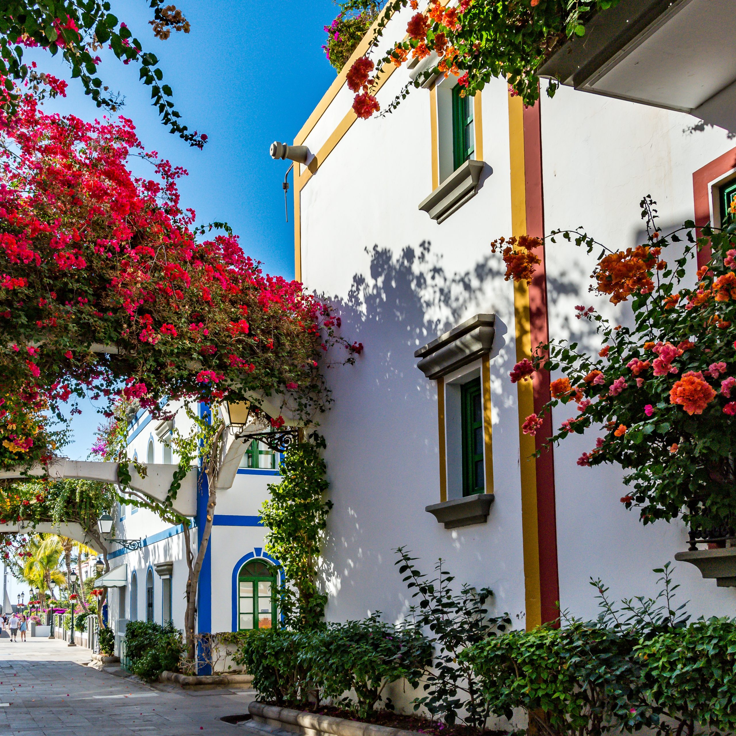 kanárské ostrovy gran canaria