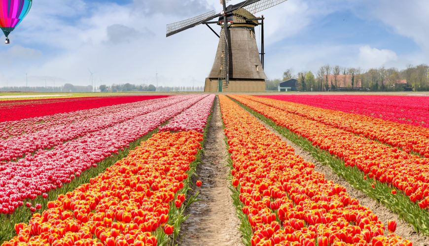 Keukenhof, největší květinový park v Evropě